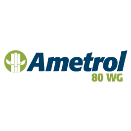AMETROL 80 WG