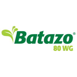 BATAZO 80 WG