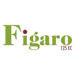 FIGARO 125 EC